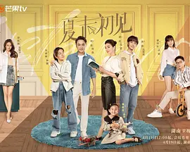 国产精品成aⅴ人片在线观看