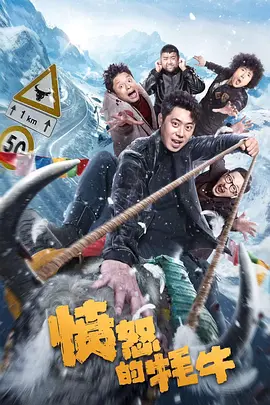 我的女友是傻瓜