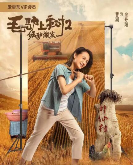精品欧美一区二区精品久久