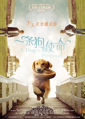 国产精品一区二区在线观看网站