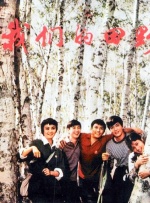 图片区 视频区