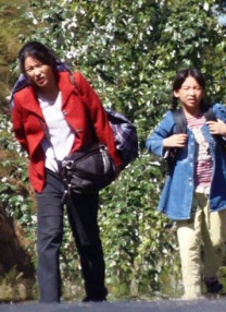 母子交尾