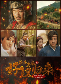 手机视频在线播放